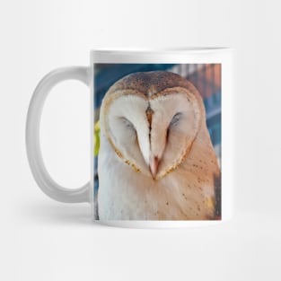 Sleeping Barn Owl Mug